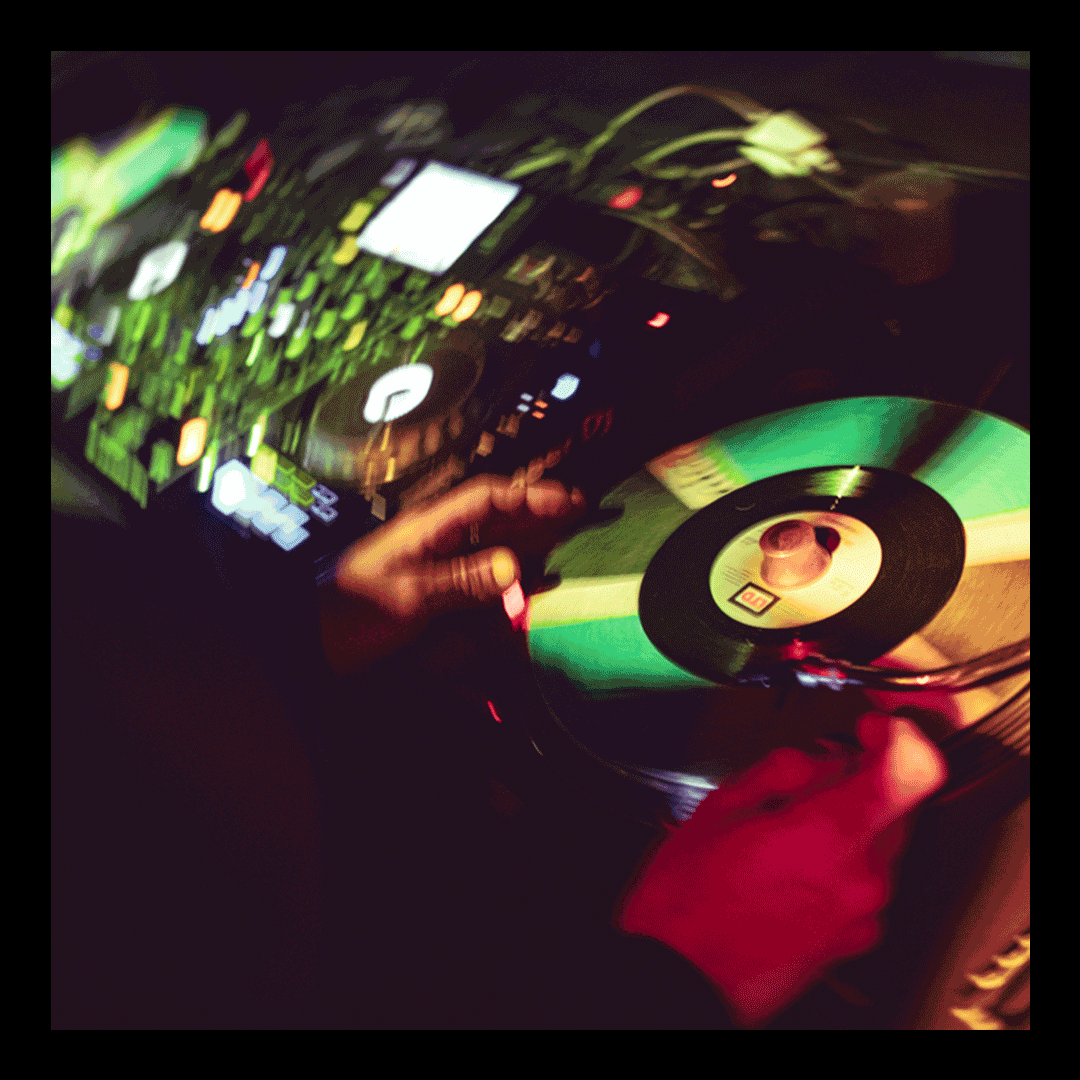 ALAMZIC WINTER FESTIVAL